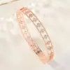 Pulseira Casual de Diamante, Pulseira Clássica de Trevo de Quatro Folhas Vazado para Mulheres, Fivela Versátil com Zircônia Microincrustada, Joia