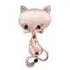 Joias europeias e americanas direto da fábrica, novo desejo Amazon AliExpress eBay Diamante Pedra Olho de Gato Raposa broche feminino