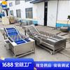 Línea de producción de procesamiento de cangrejos de río completamente automática, línea de ensamblaje para cocinar langostas, equipo para procesar cangrejos de río en Jiangsu