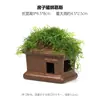 Aquário Musgo Terrário Planta Aquática Paisagismo Planta Real Tanque de Esconderijo para Peixes e Camarões Casa de Camarão Pequeno Ornamento Casa de Esconderijo para Criação de Peixes Pequenos