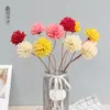 Flor de Sésamo Hecha a Mano Flor Seca Ramo Flor Seca Hortensia Pequeña Accesorios para Fotos Decoración del Hogar Adornos Venta al por Mayor de Fábrica
