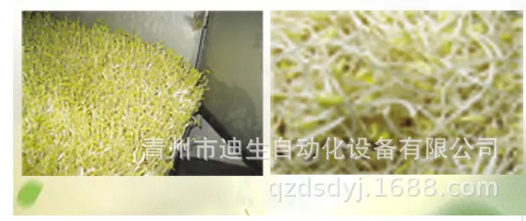 详情5.png