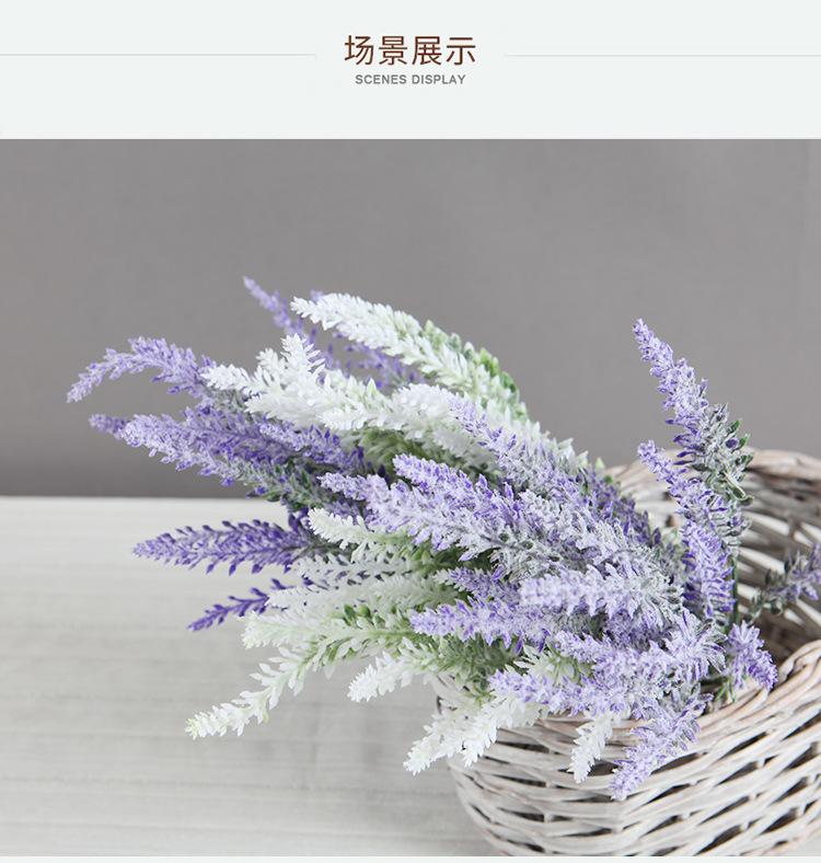 5叉熏衣草