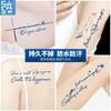 Pegatina de tatuaje de hierbas con diseño de planta de jugo, nombre en inglés, para hombres y mujeres, impermeable, de larga duración, simulación