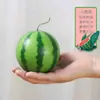 Venta al por mayor Modelo de Sandía Artificial Rodajas de Sandía Falsas Hoja de Vid de Sandía Fruta Fotografía Decoración del Hogar Estudio de Educación Temprana Accesorios