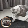 Tapete para Caixa de Areia de Gato Eva Espessado de Camada Dupla, Lavável, Anti-respingo, Caixa de Areia para Gato, Acessórios para Gato