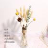 Ramo de flores secas de Yunnan con hojas de eucalipto inmortales, estilo nórdico, adornos decorativos para el hogar y la sala de estar, accesorios de tiro DIY.