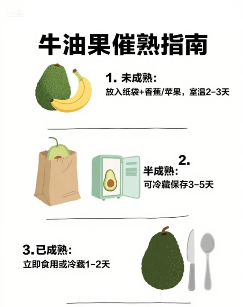 秘鲁进口牛油果 代发2/4/6/8枚中大果鳄梨软糯奶油果全年新鲜水果详情图1