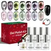 Set de 9 piezas de esmalte en gel ojo de gato vidrioso, esmalte de uñas negro, set de herramientas para nail art, nail art magnético, caja de regalo de Navidad, gel UV transfronterizo