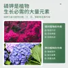 Fertilizante Stanley Fosfato Monopotásico, Especial para Flores, Fertilizante de Fósforo Agrícola Genuino, Fertilizante para Flores, Fertilizante de Fósforo y Potasio para Flores, Fertilizante Foliar