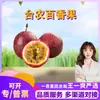 Seleção PremiumMaracujá Tainong de Guangxi - Fruta fresca para frutarias, fruta única de 60g ou mais