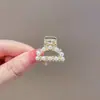 Exquisitos pasadores pequeños con forma de lazo, adecuados para cabello fino, pinzas de tiburón de clip medio, pasadores dulces para flequillo de lado, horquillas y accesorios para el cabello para mujeres
