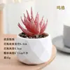 Plantas en Maceta de Suculentas de Diamante Simuladas al por Mayor, Decoración del Hogar, Plantas Suculentas para Oficina, Adornos de Plantas Verdes, En Stock, Entrega Inmediata