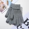 Guantes transfronterizos en stock otoño e invierno moda cálidos pantalla táctil jacquard invierno patrón de piña anti-aguja color sólido guantes cálidos