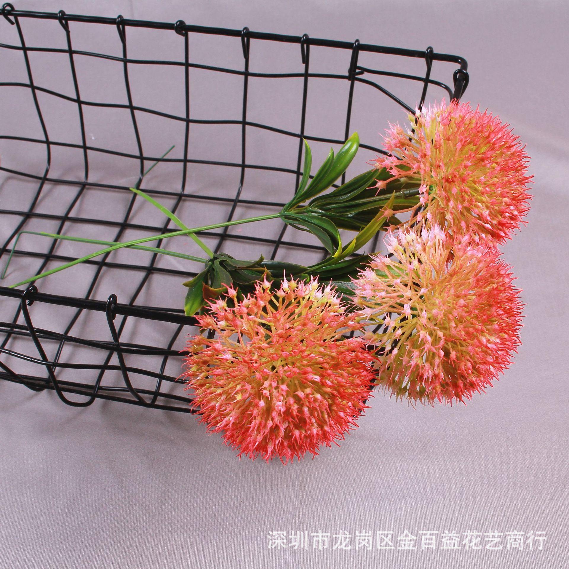 IMG_8521_副本.jpg