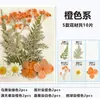 Adesivos de Marcador de Página Transparentes DIY para Garrafas, Flores Secas, Feito à Mão por Alunos do Ensino Fundamental, Folhas, Flores Frescas, Decorações para Livros de Plantas, Presente de Formatura