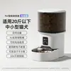Comedouro Automático para Pets 4L Graffiti Inteligente APP Remoto WiFi com Gravação Vedado para Manter Fresco Comedouro para Gatos e Cachorros