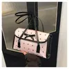 Bolsa de Ombro para o Dia a Dia Estilo Coreano Nicho para Axila para Mulheres 2025 Novo Modelo Bolsa de Mão Fashion Feminina com Laço Bolsa de Ombro