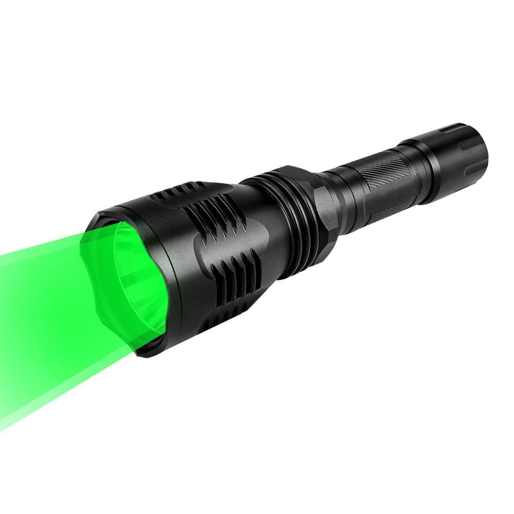 802 TORCH (29)