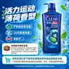 Shampoo Qingyang Hortelã Refrescante Lavagem de Cabelo Controle de Oleosidade Anti-Coceira Anticaspa Esportivo Masculino Multiefeito Múltiplos Benefícios Disponíveis