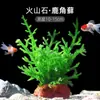 Plantas de Acuario, Decoraciones de Paisajismo con Césped Real, Plantas Aptas para Principiantes, Crisantemo Verde Ciempiés, Plantas de Sombra, Piedra Volcánica, Plantas Verdes Purificadoras de Agua