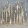 Diretamente do Fabricante: Galhos para Decoração, Galhos Secos Descascados, Galhos Mortos, Cabides para Galhos de Árvore, Cabides de Madeira Natural, Varetas de Madeira para Tapeçaria