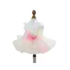 PETCIRCLE Ropa para Mascotas para Perros Pequeños y Cachorros, Linda Falda de Tul Multicapa para Mascotas, Vestido de Novia de Helado con Estrella Arcoíris