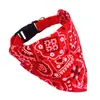 Suprimentos Personalizados para Pets, Toalhas de Saliva para Pets, Coleiras Estampadas para Cães, Coleiras para Gatos, Bandanas para Pets