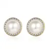 TikTok Novo Estilo Estilo Coreano Brincos de Pérola Austríaca Moda Feminina Retro Elegante Estilo Chanel com Zircônia Brincos Simples