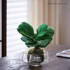 Gardenia Hidropónica Bola de Musgo en Maceta Rosa Miniatura Plantas de Oficina Bambú de la Suerte Árbol del Dinero de Escritorio Interior