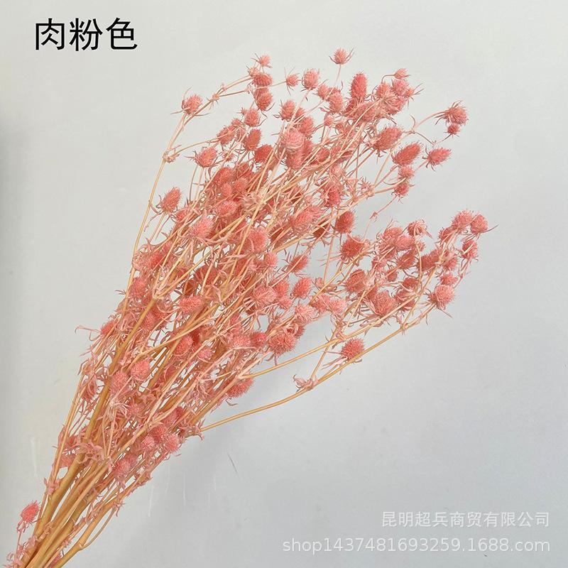 QQ图片20211215151127.jpg