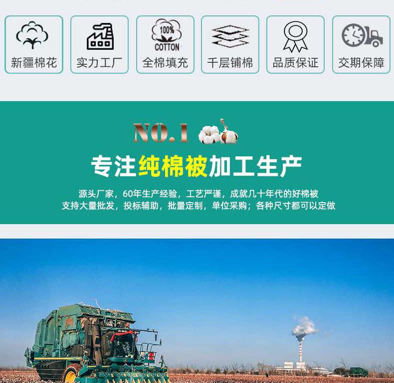 2023年详情-棉被-恢复的_06