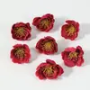 Cabezas de Flores de Camelia Artificiales, Estilo Pastoral, Flores de Seda Estilo Chino Tradicional, Accesorios para el Cabello Hanfu, Materiales para Manualidades, Accesorios de Flores Falsas