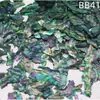 Madrepérola Laca Peças Finas de Concha de Abalone Nail Art Mosaico Pintura em Laca Peças de Madrepérola Material DIY Laca Incrustada Leidezhu