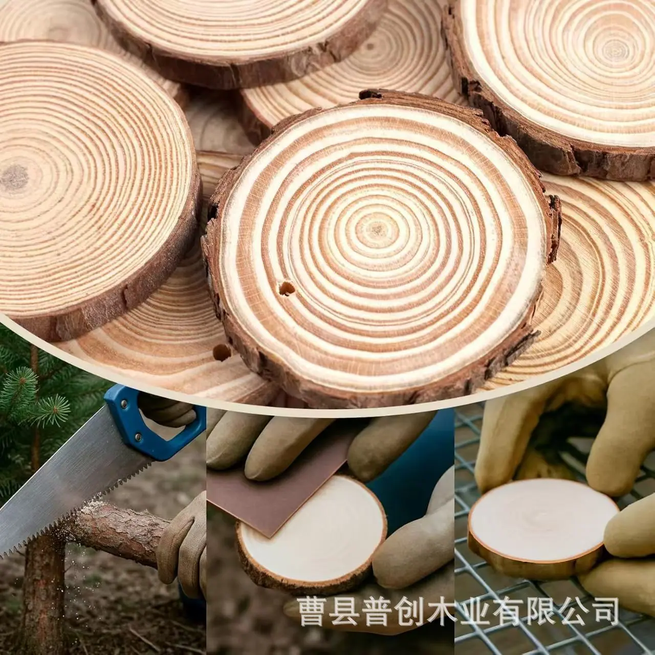 微信图片_20260415103403_276_3058