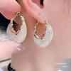 Pendientes de plata S925 con malla de circonita Super Flash, exquisitos, con aguja, para mujer, modernos, ligeros, de lujo, de nicho, con diseño avanzado.