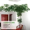 Folhas, galhos, videiras, flores artificiais, trepadeiras, canos, pilares, plantas trepadeiras, plantas verdes, plantas de parede, cobrindo imperfeições, decorações