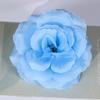 Simulación 8CM Cabeza de Flor de Rosa Venta al por Mayor Arreglo de Pared de Flores para Boda Arreglo de Flores de Planta Verde Tocado de Halloween Flor de Seda Rosa