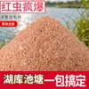 Isca de pesca rápida Juda isca de carpa vermelha louca grande placa crucian carpa vermelha isca de carpa a granel atacado isca de pesca sistema de tempestade de inverno