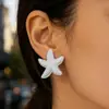 Pendientes de Plata con Forma Irregular de Estrella Geométrica de Cinco Puntas Serie Oceánica Europea y Americana Lujo Ligero Sensación de Alta Gama Pendientes para Mujer
