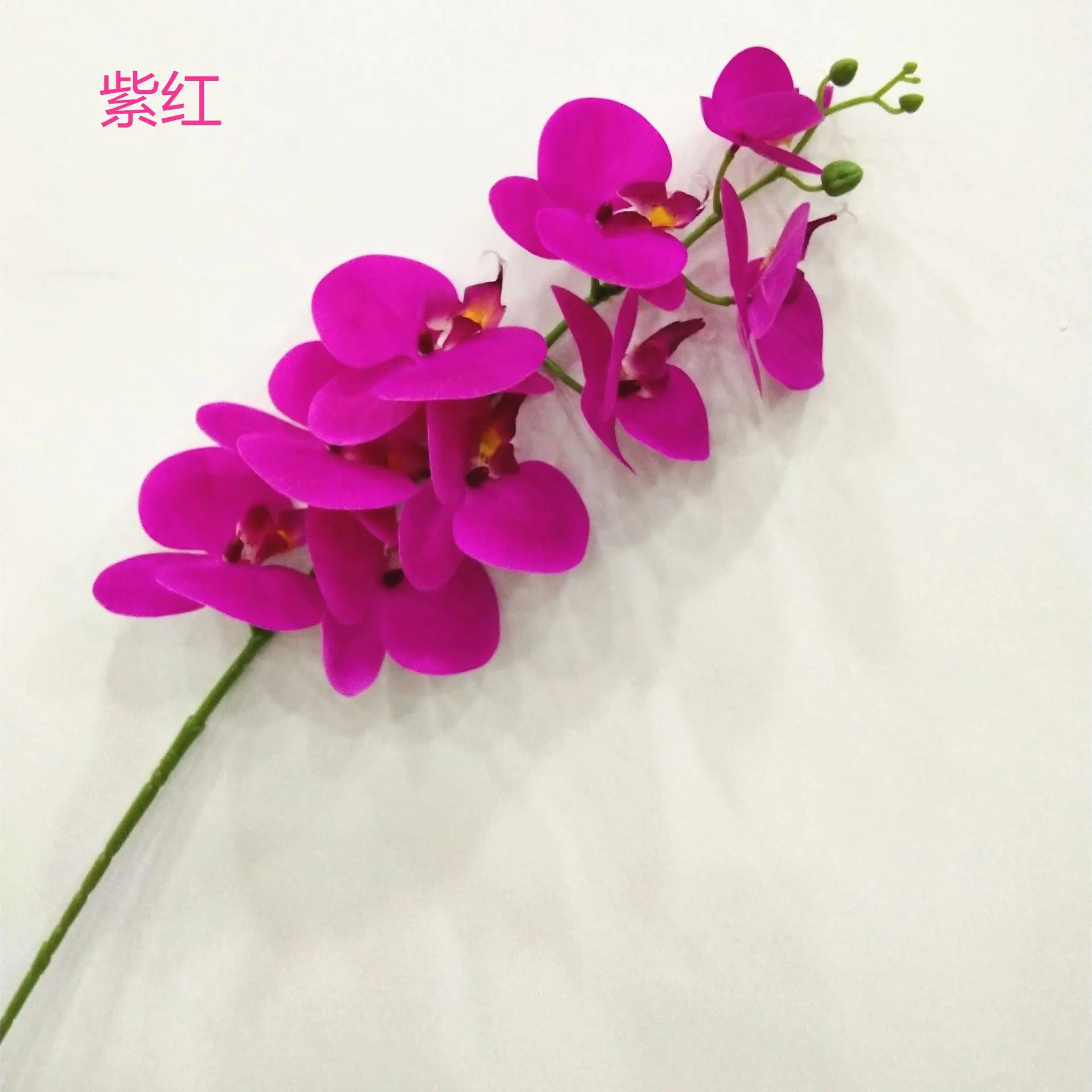 IMG_20200423_142051_副本