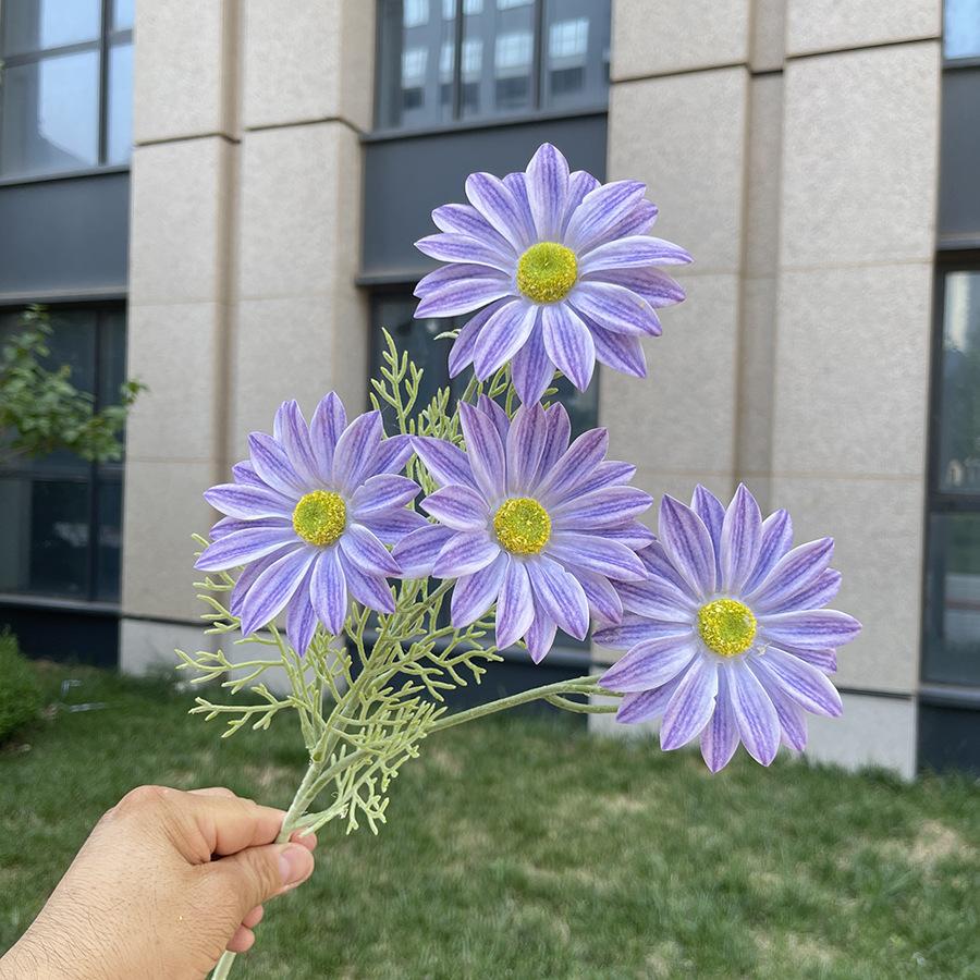 4头手感夏菊-sxekx-9#浅紫.JPG