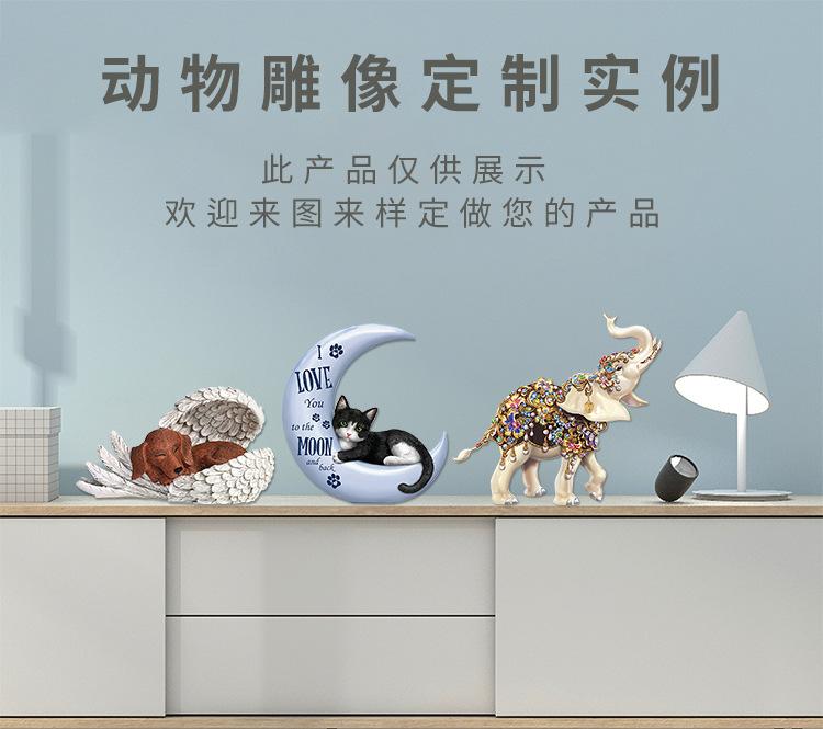 6.动物