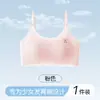Sutiã sem costura para meninas jovens, adequado para alunas do ensino fundamental e médio, projetado para a fase de desenvolvimento, e pode ser usado como uma blusa de baixo.