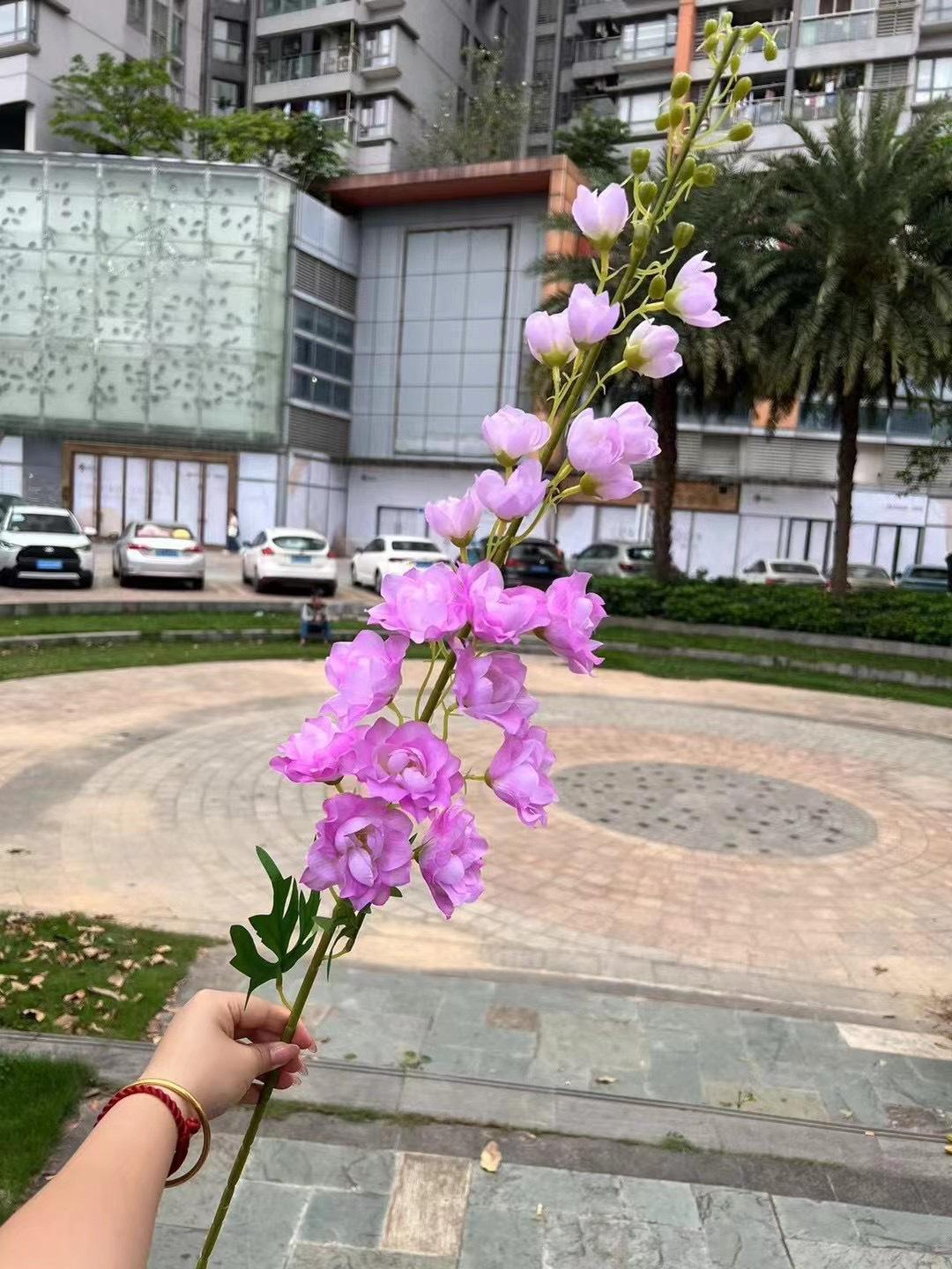 微信图片_20240724141242.jpg