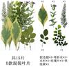 Paquete de 15 hojas combinadas, hojas reales, especímenes de plantas, pegatinas en relieve, hojas secas, marcapáginas.