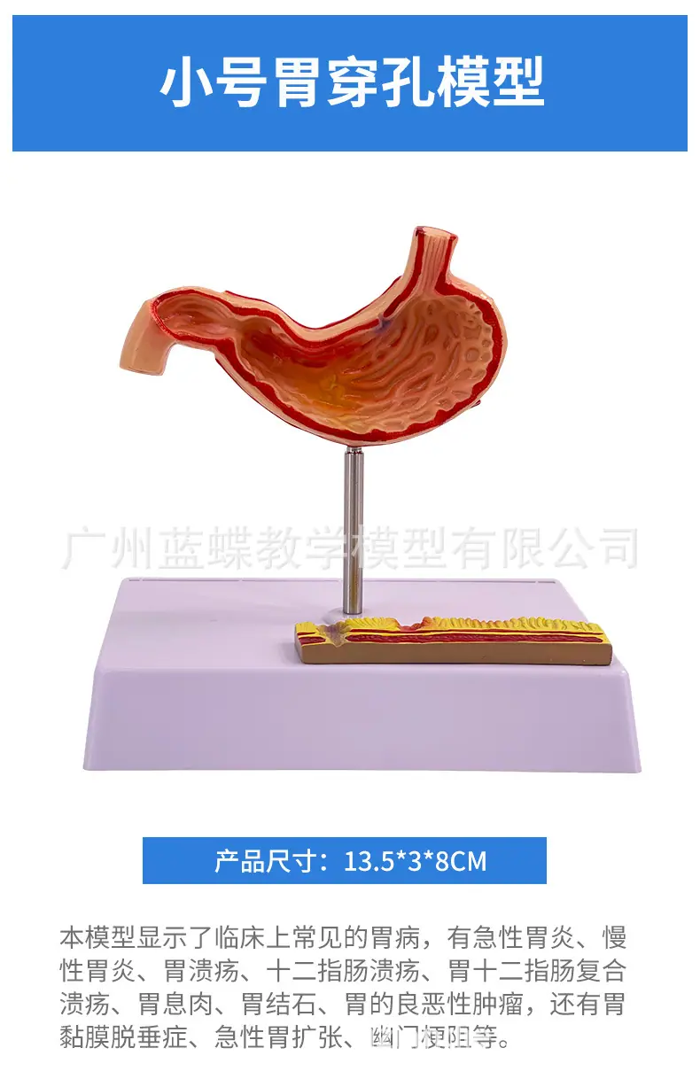 详情_18