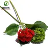 Simulación planta suculenta súper grande tamaño pequeño suculenta bonsái planta verde flor de plástico en maceta micro paisaje con pared vegetal