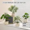 Plantas Verdes Artificiales, Flores Falsas, Flores Artificiales, Plantas Pequeñas de Escritorio en Maceta, Adornos Decorativos, Estanterías, Plantas Verdes Artificiales, Accesorios de Fotografía