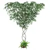 Folhas de Árvore Simulação Galhos Cipós Flores Artificiais Cipós Rattan Interior Sala de Estar Tubos de Parede Decoração de Parede de Plantas Verdes Paisagismo